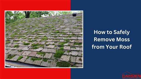 How To Safely Remove Moss From Your Roof Camden Roofing And Construction