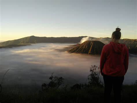 Open Trip Bromo Sunrise Adventure - Malangtrekker