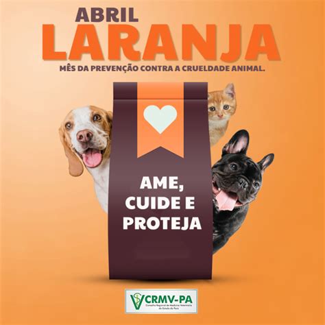 ABRIL LARANJA CRMV PA