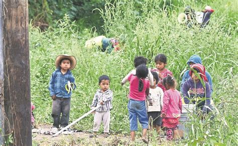 Niños jornaleros 20 pesos diarios y apenas van a clases