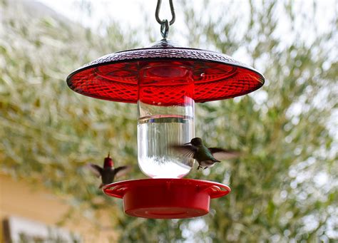 Hummingbird Feeder Bee Proof Drip Free With 16 Oz Clear With Larger Cover - Etsy