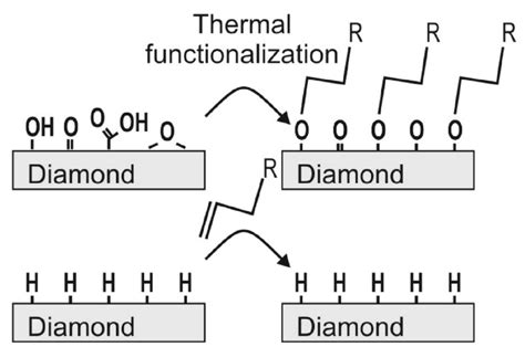 C Free Full Text Functionalization Of Carbon Nanomaterials For