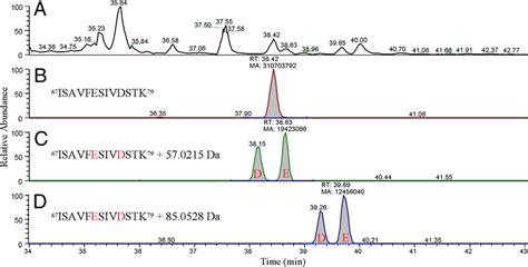 Typical Chromatograms From LC MS Showing A Peptide And The Peptide With