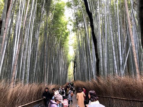 京都嵐山小火車、渡月橋景點交通一日遊分享 Skynier 旅遊美食日誌