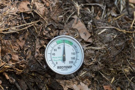 Compost Thermometer Guide All You Need For Temperature Perfection