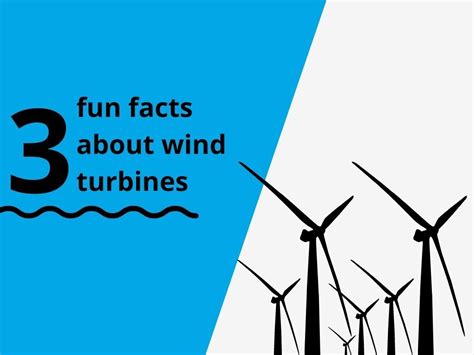 Fun Facts About Wind Atelier Yuwa Ciao Jp