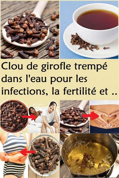 Infusion Clou De Girofle Et Gingembre Artofit