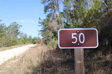 Ocala National Forest | Trail 50, Florida : Off-Road Trail Map & Photos ...