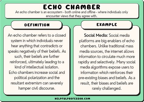 10 Echo Chamber Examples (2025)