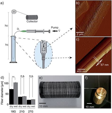 A Schematic Representation Of The Wetspinning Setup The Collagen