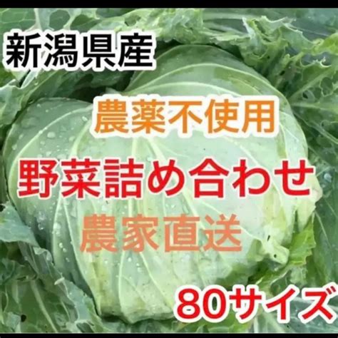 1110迄！新鮮採りたて野菜詰め合わせセット生育中農薬不使用農家直送80サイズの通販 By Flowers Shop｜ラクマ