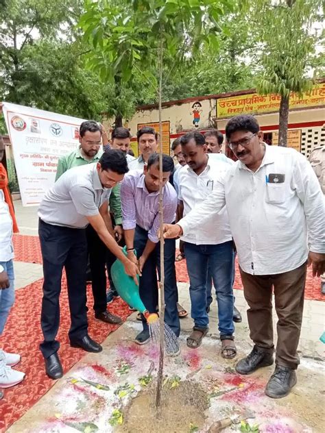 वन महोत्सव कंपोजिट विद्यालय में सीडीओ ने किया पौधारोपण