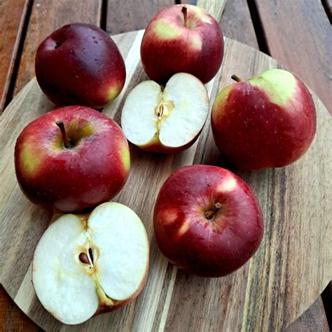 Buy Fresh "empire" Apples - Ripe And Ready! from TradeWave Corp ...