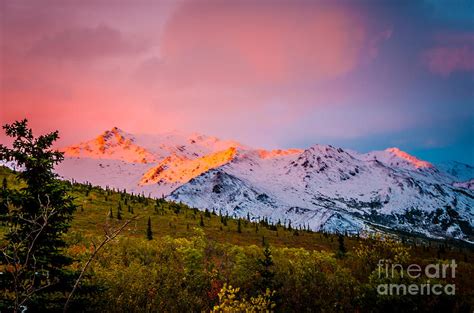 Denali Alpenglow 4 Photograph By Mary Carol Story Fine Art America