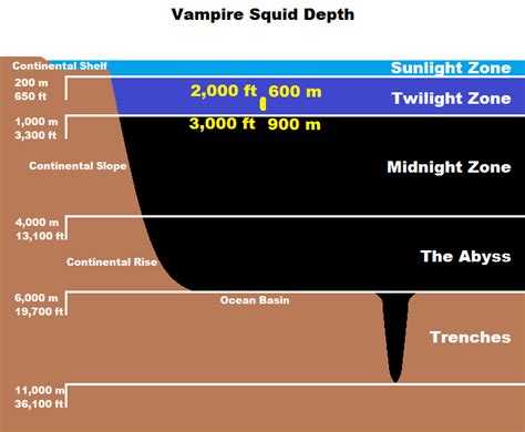 Real Monstrosities: Vampire Squid