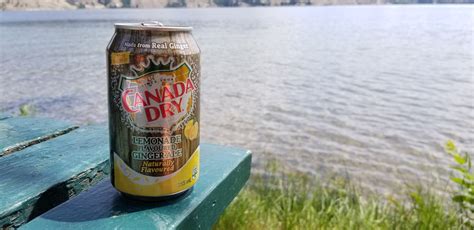 Canada Dry Lemonade Flavoured Ginger Ale reviews in Soft Drinks ...