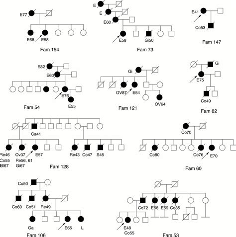 Screening families with endometrial and colorectal cancers for germline ... 