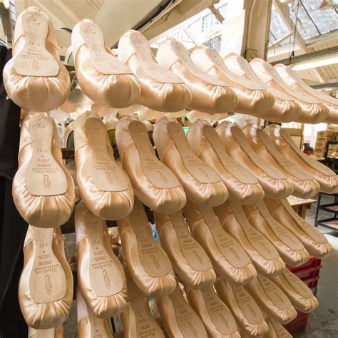 Pin By David Anselmet On Danse Pointe Shoes Ballet Shoes Point Shoes