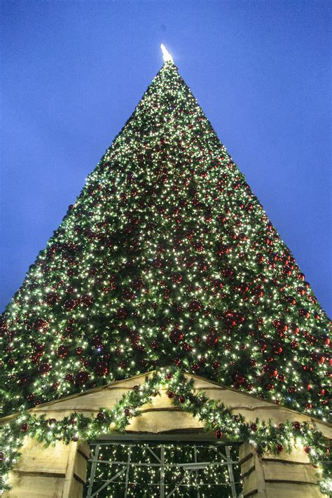 The Uks Tallest Christmas Tree With 100000 Baubles Has Been Unveiled