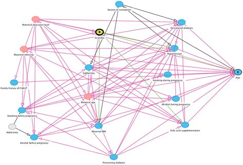 Directed Acyclic Graph Containing All Potential Risk Factors And