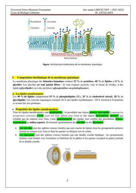 SOLUTION Chapitre 3 La Membrane Plasmique Studypool