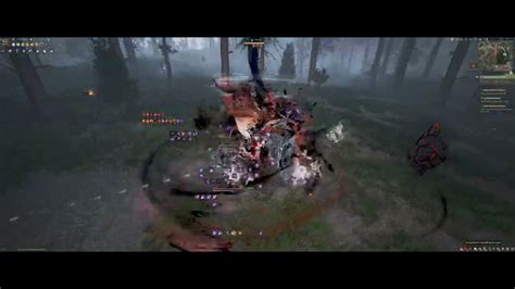 Bdo Woosa Succession Pve Ash Forest P2 310k 386dp Black Desert