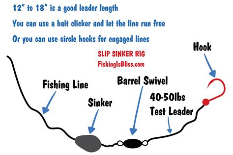 Catfish Trotline Diagram Catfish Anatomy Diagram