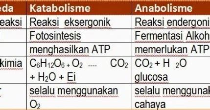 Detail Contoh Proses Katabolisme Koleksi Nomer