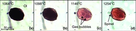 Transmitted Light Photomicrographs Illustrating The Behaviour Of An