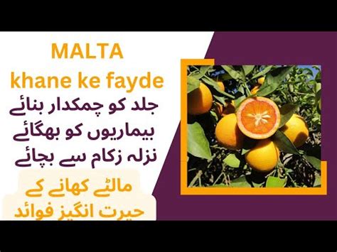 Health Benefits Of Orange Malta Khane Ke Fayde Orange For Skin Care