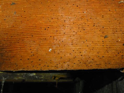 WARNING Barbie Will Be Naked Charles Buell Consulting LLC