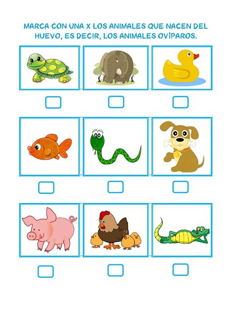 Animales ovíparos worksheet Animales oviparos y viviparos Animales