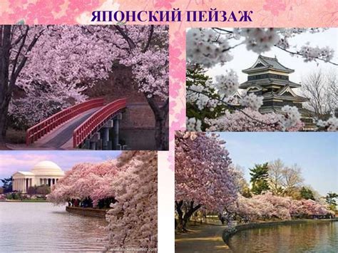 Образ художественной культуры Японии. Круглый японский веер ...
