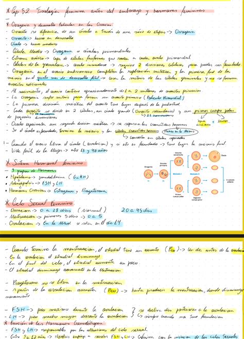 Resumen Del Cap 82 Guyton Res Academy