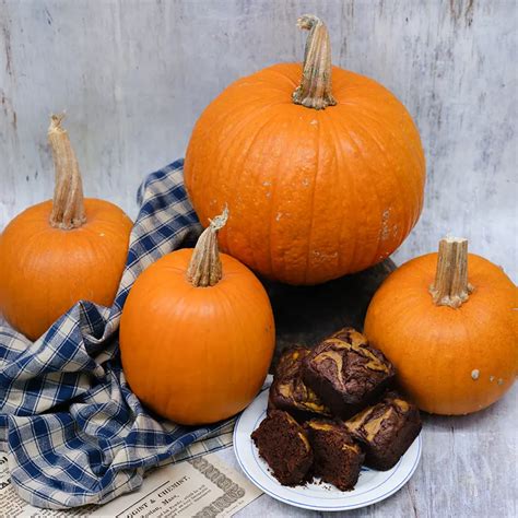 New England Sugar Pie Pumpkin Squash Baker Creek Seeds