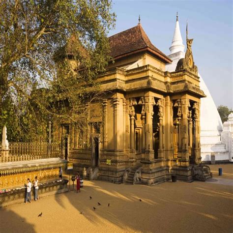 Landausflug Kelaniya Tempel Colombo Stadtrundfahrt Getyourguide