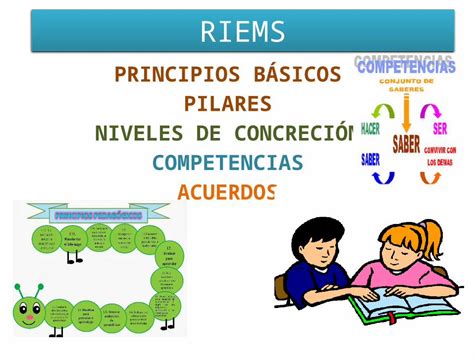 PPTX RIEMS PRINCIPIOS BÁSICOS PILARES NIVELES DE CONCRECIÓN