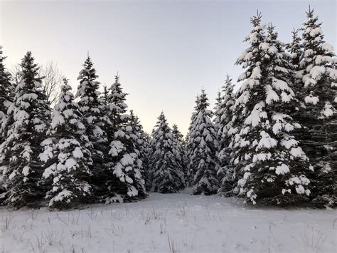 FIVE FUN AND UNIQUE TRAVERSE CITY WINTER ACTIVITIES