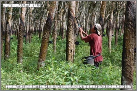 Pemanfaatan Sumber Daya Hutan Pedesaan Memanfaatkan Potensi Hutan