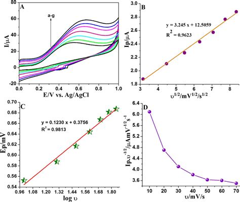 A Cyclic Voltammograms Of Agnps Ppy Rgo Gce In Mm Of Hydrazine At