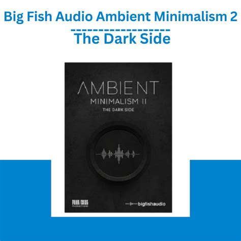 Big Fish Audio Ambient Minimalism The Dark Side