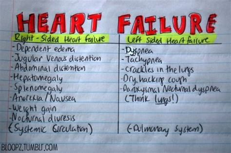 Congestive heart failure chf symptoms stages life expectancy – Artofit