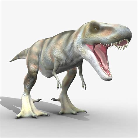 T Rex Skeleton 3d Model 29 Unknown 3ds C4d Fbx Obj Stl Free3d