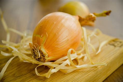 Лук в кулинарии: виды и способы применения - СделаемВкусно.ру