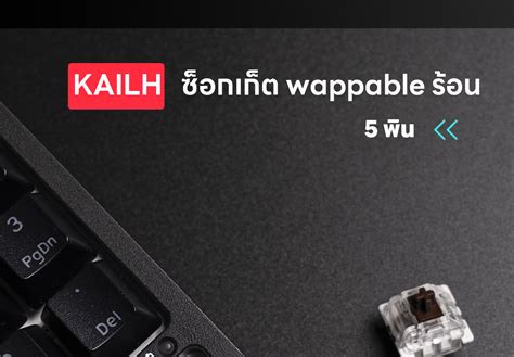 Kludge Rk Rgb Hot Plug Shopee Thailand