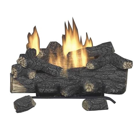 Natural Gas Fireplace Logs With Remote – Mriya.net