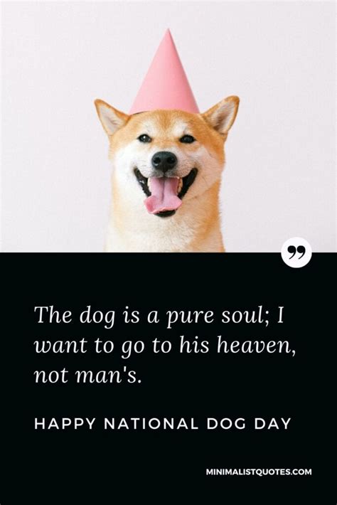 International Dog Day Quotes, Wishes & Messages