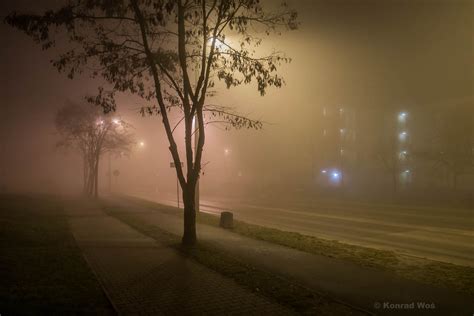 Fondos De Pantalla Luz De Sol Noche Rama Amanecer Ma Ana Niebla