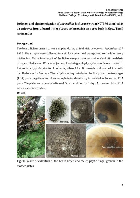 Pdf Isolation And Characterization Of Aspergillus Luchuensis Strain