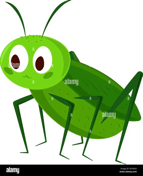 cricket insect cartoon Stock Vector Image & Art - Alamy